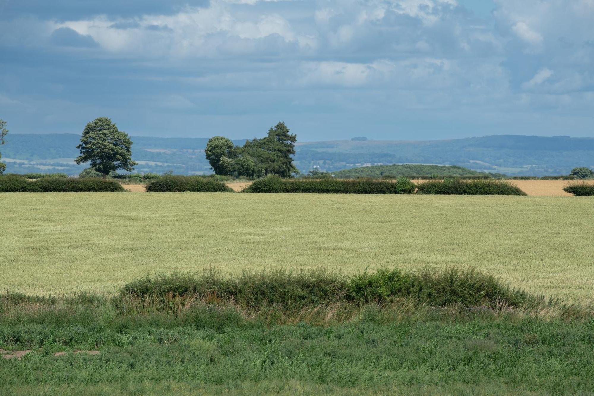 Green End House Ripon Buitenkant foto